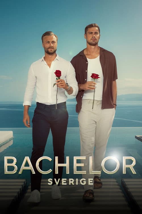 Poster di Bachelor Sverige